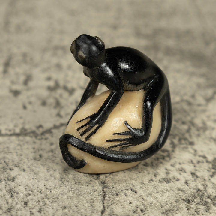 Rainforest Howler Monkey Tagua Carving