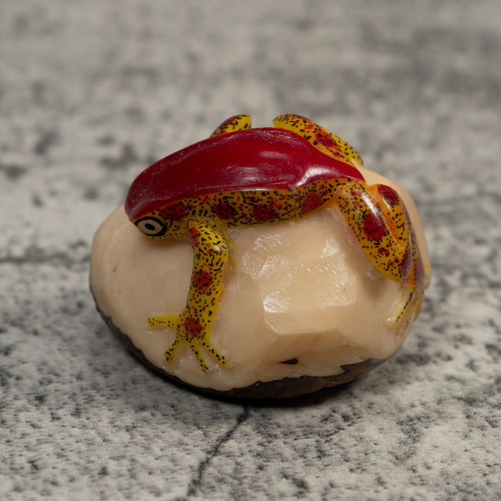 Red And Gold Poison Dart Frog Tagua Carving