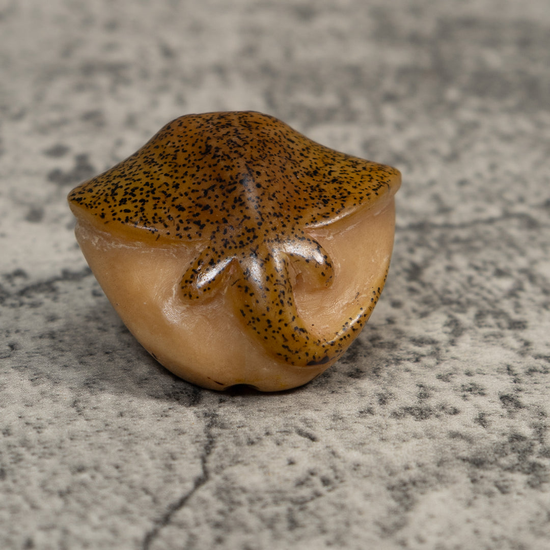 Speckled Ocean Stingray Tagua Carving