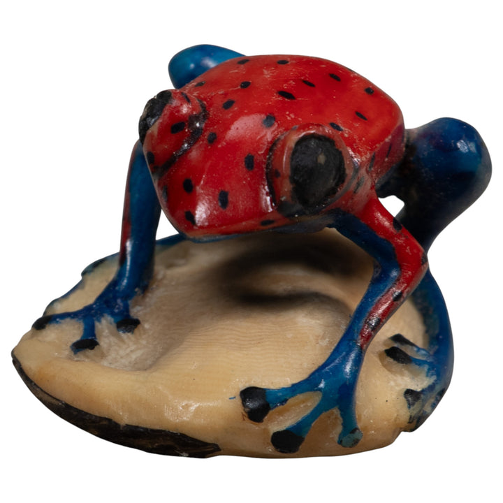 Red And Blue Undercut Poison Dart Frog Tagua Carving