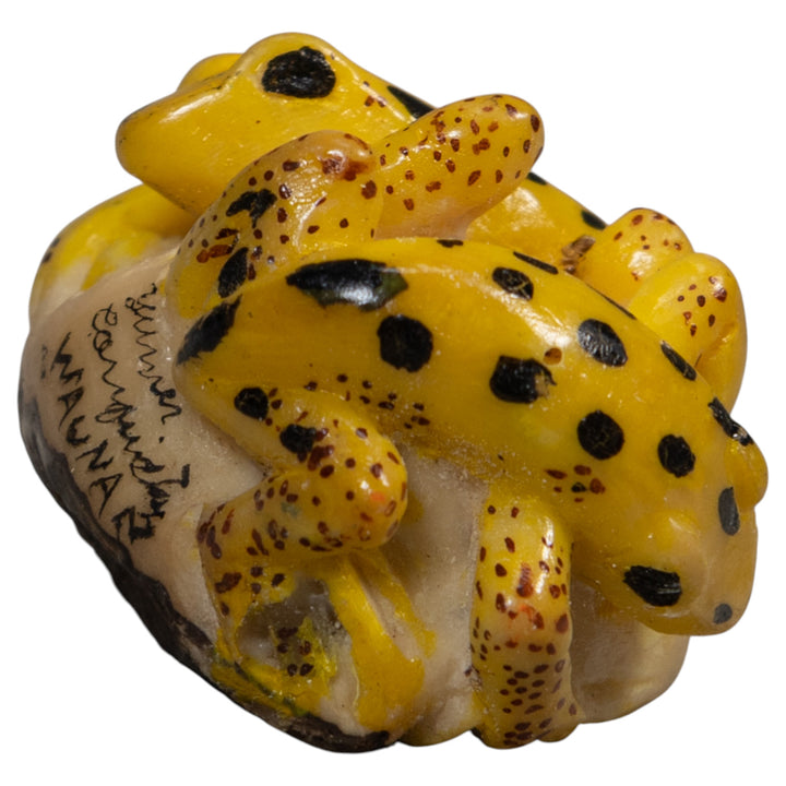 Double Vintage Gold And Black Frog Tagua Carving