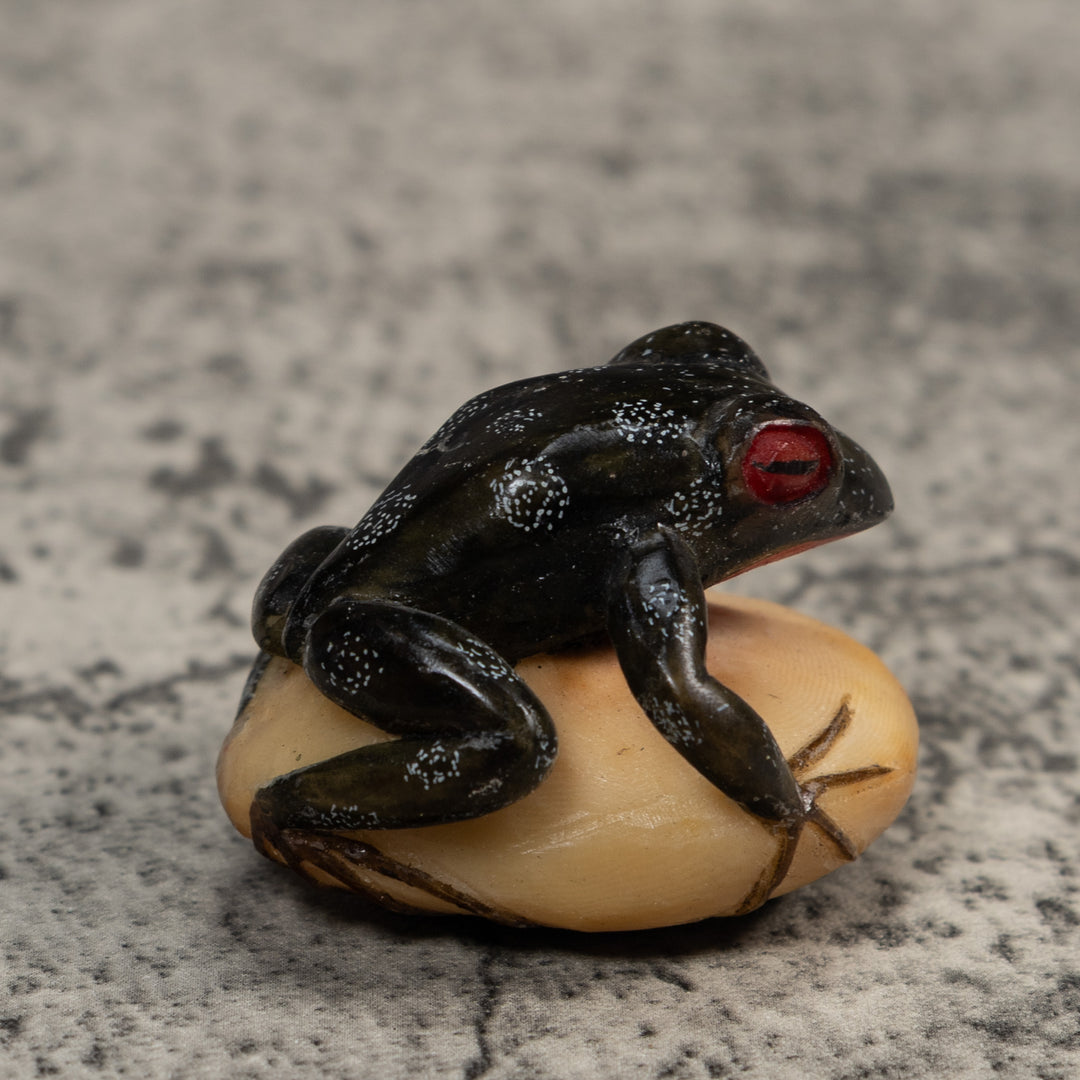 Black Red-Eyed Poison Dart Frog Tagua Carving