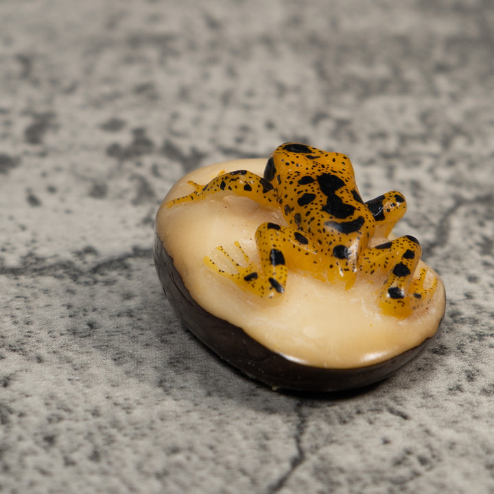 Vintage Gold And Black Frog Tagua Carving
