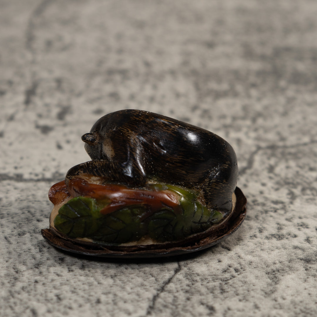 Rainforest Coatimundi Tagua Carving