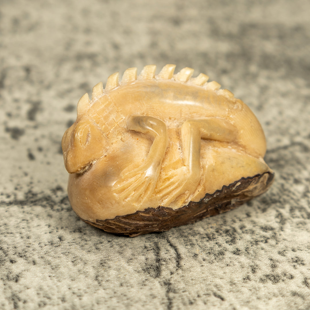 Natural White Iguana Lizard Tagua Carving