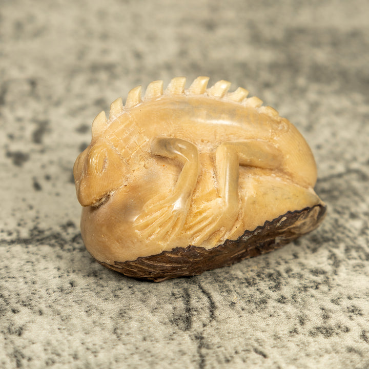 Natural White Iguana Lizard Tagua Carving