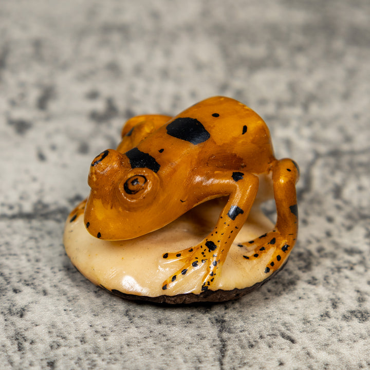 Vintage Gold And Black Frog Tagua Carving