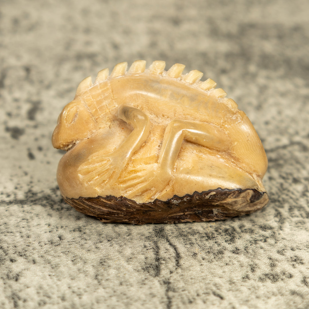 Natural White Iguana Lizard Tagua Carving