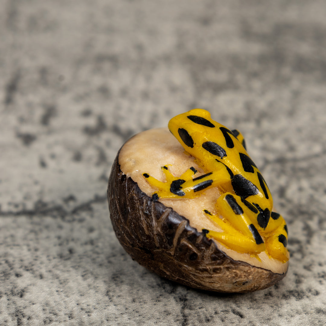 Golden Frog Tagua Carving