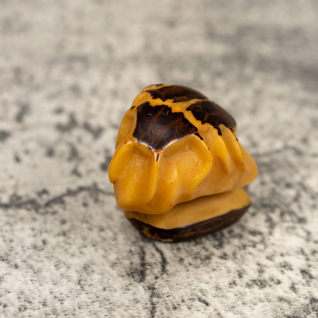 Natural White Insect Bug Tagua Carving