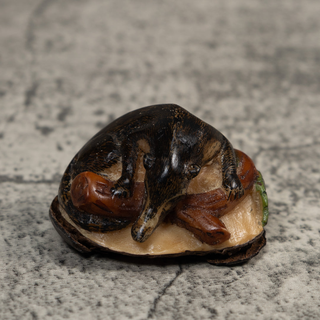 Rainforest Coatimundi Tagua Carving