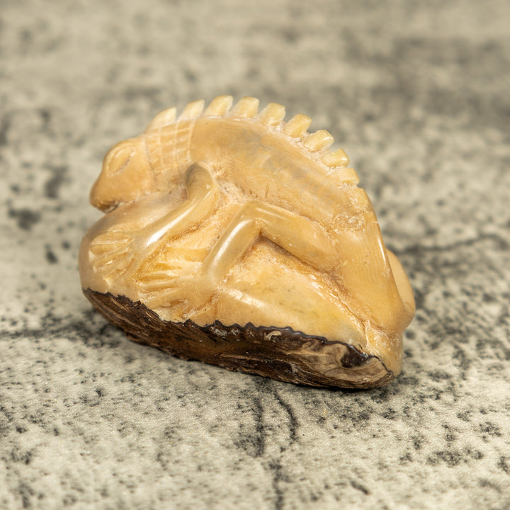 Natural White Iguana Lizard Tagua Carving