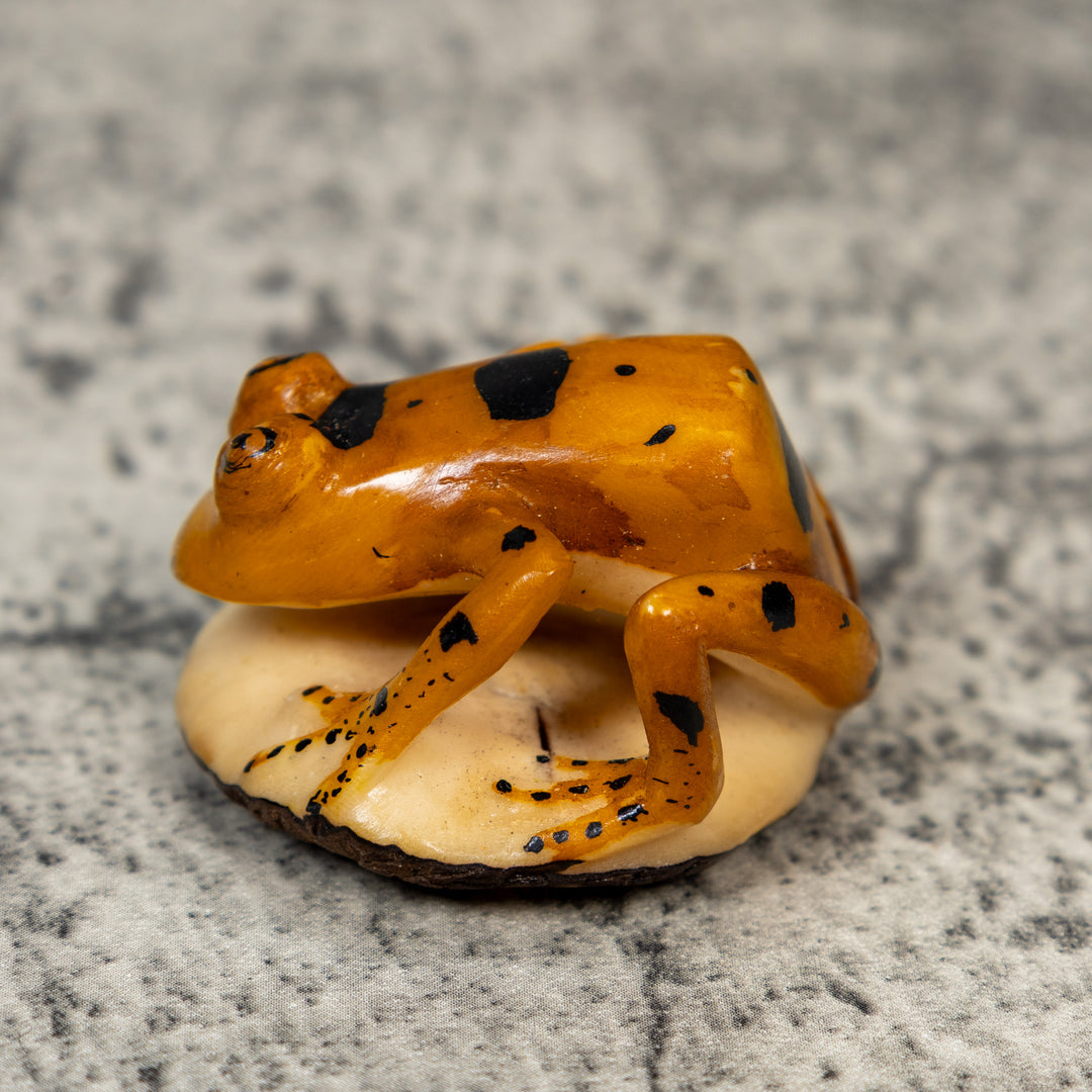 Vintage Gold And Black Frog Tagua Carving