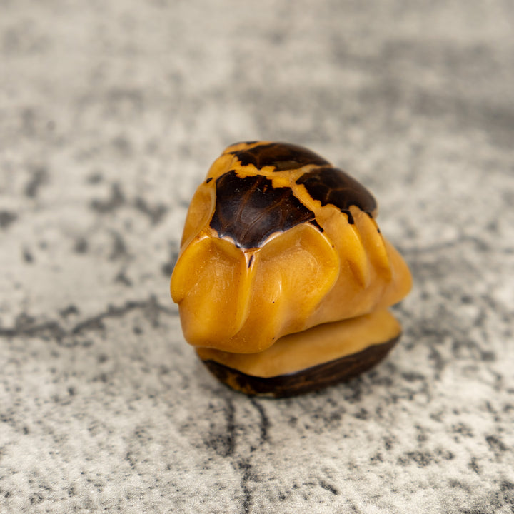 Natural White Insect Bug Tagua Carving