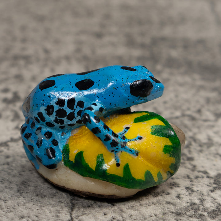 Blue And Black Poison Dart Frog Tagua Carving