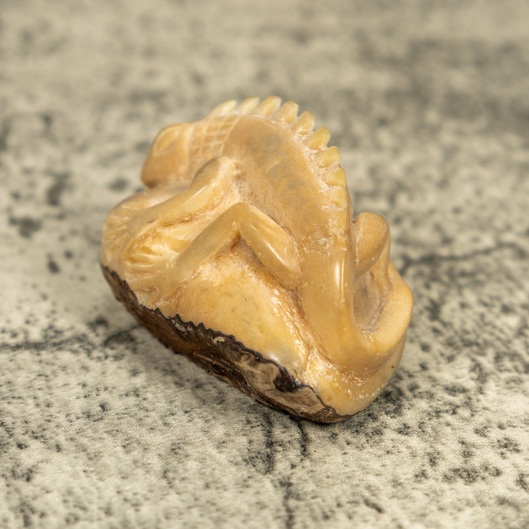 Natural White Iguana Lizard Tagua Carving