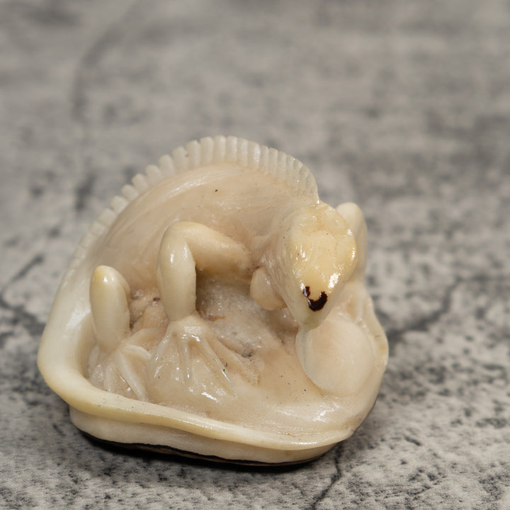 White Natural Iguana Lizard Tagua Carving
