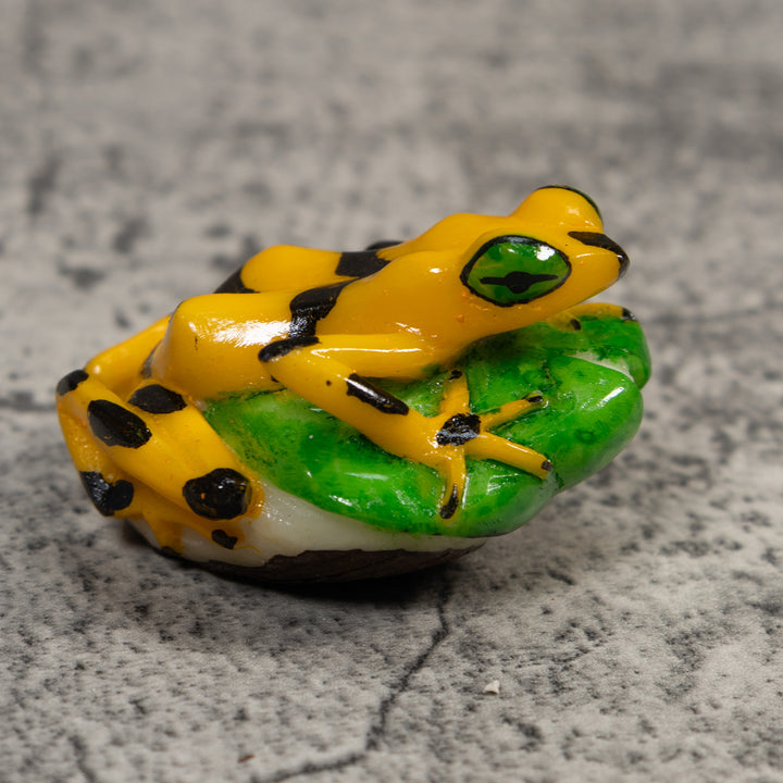 Black And Gold Poison Dart Frog Tagua Carving