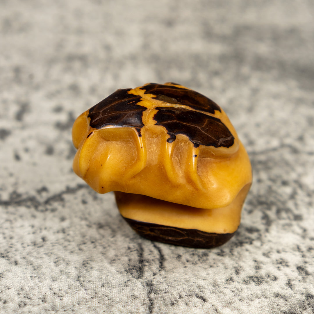 Natural White Insect Bug Tagua Carving