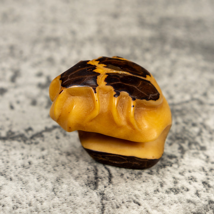 Natural White Insect Bug Tagua Carving