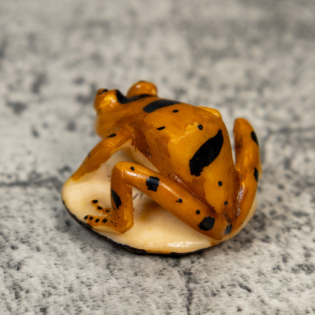 Vintage Gold And Black Frog Tagua Carving