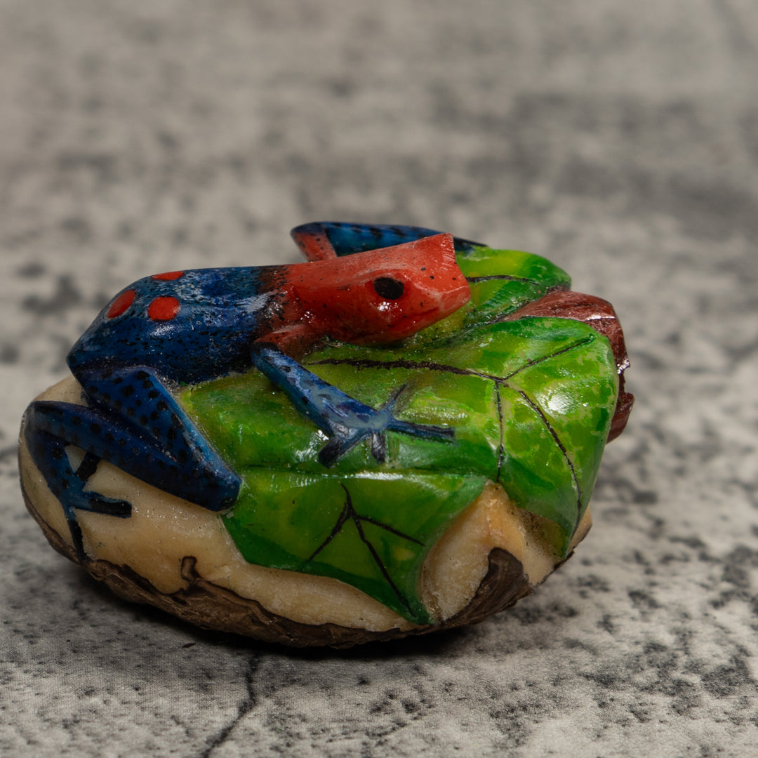 Red And Blue Poison Dart Frog Tagua Carving