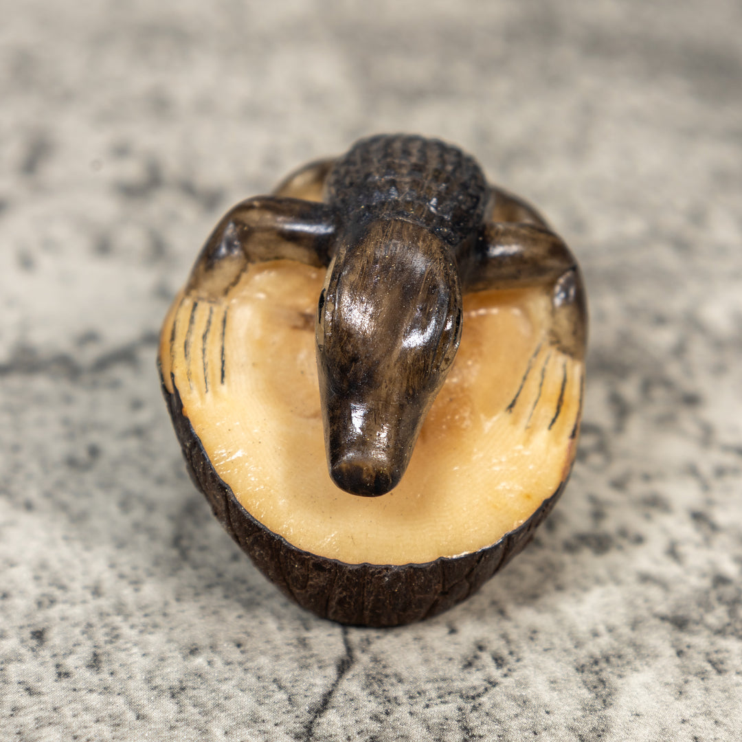 Alligator Crocodile Caiman Tagua Carving