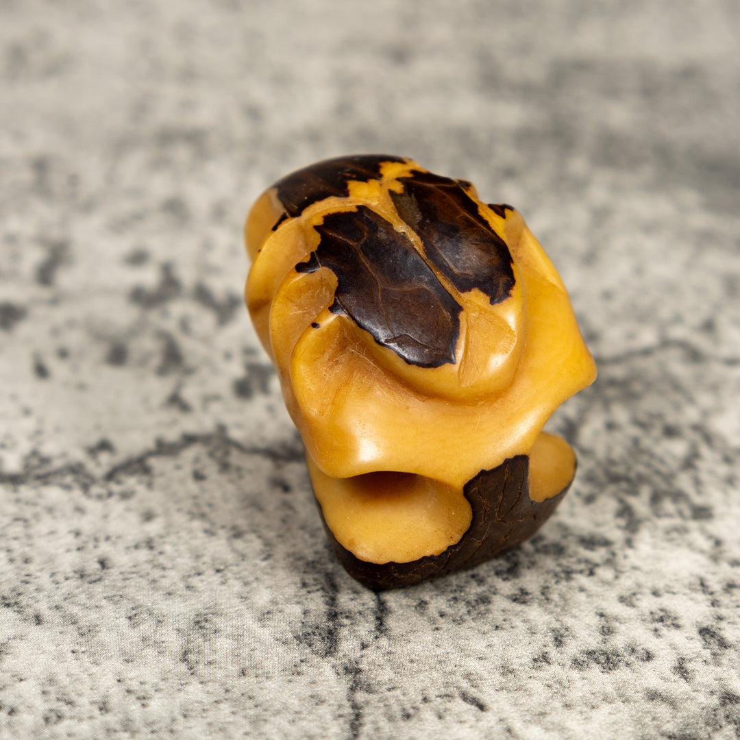 Natural White Insect Bug Tagua Carving