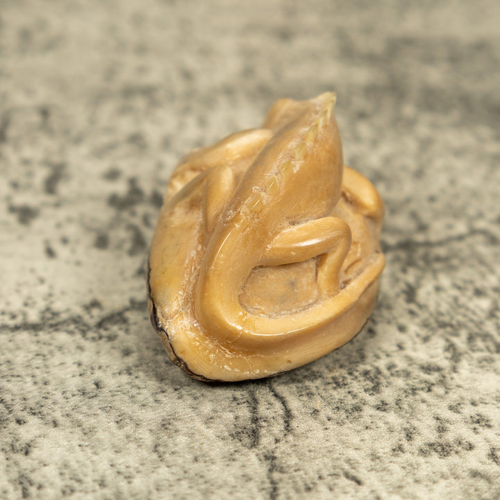 Natural White Iguana Lizard Tagua Carving
