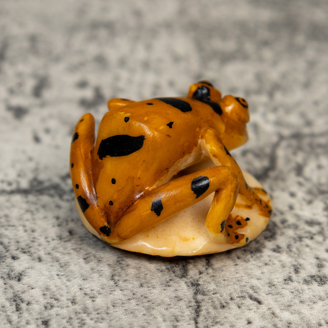 Vintage Gold And Black Frog Tagua Carving