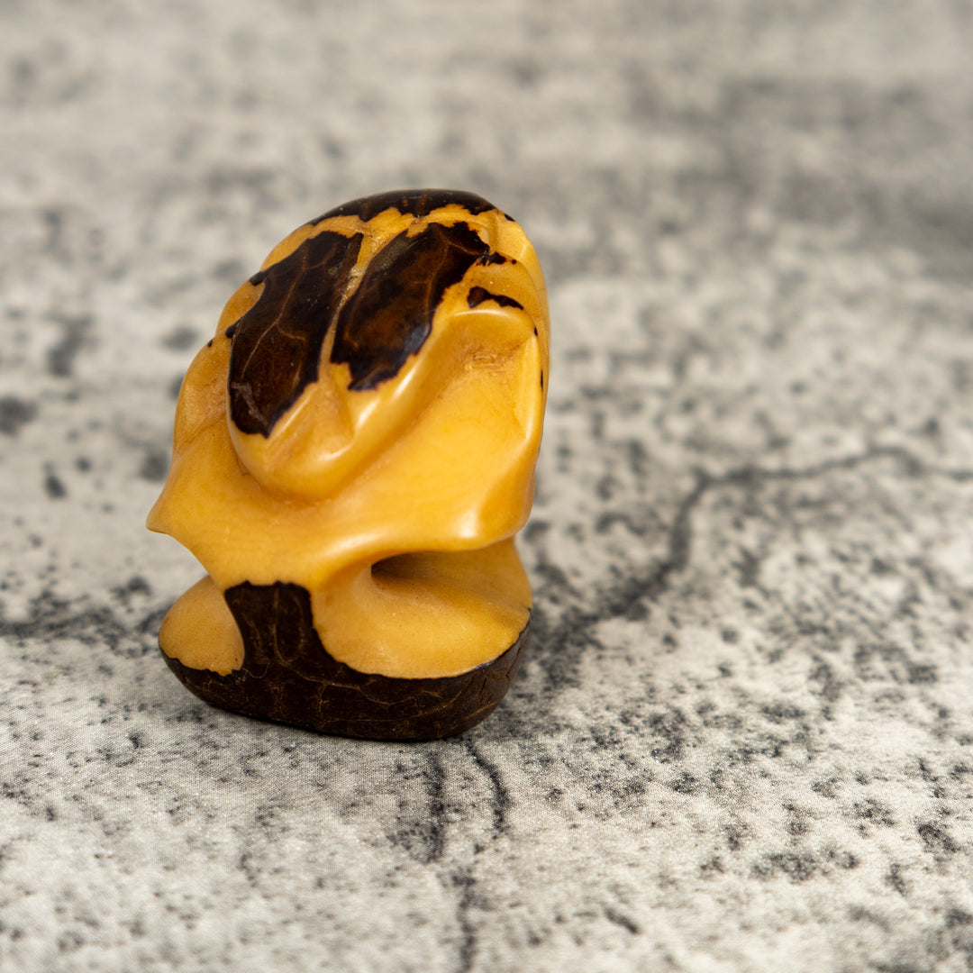 Natural White Insect Bug Tagua Carving