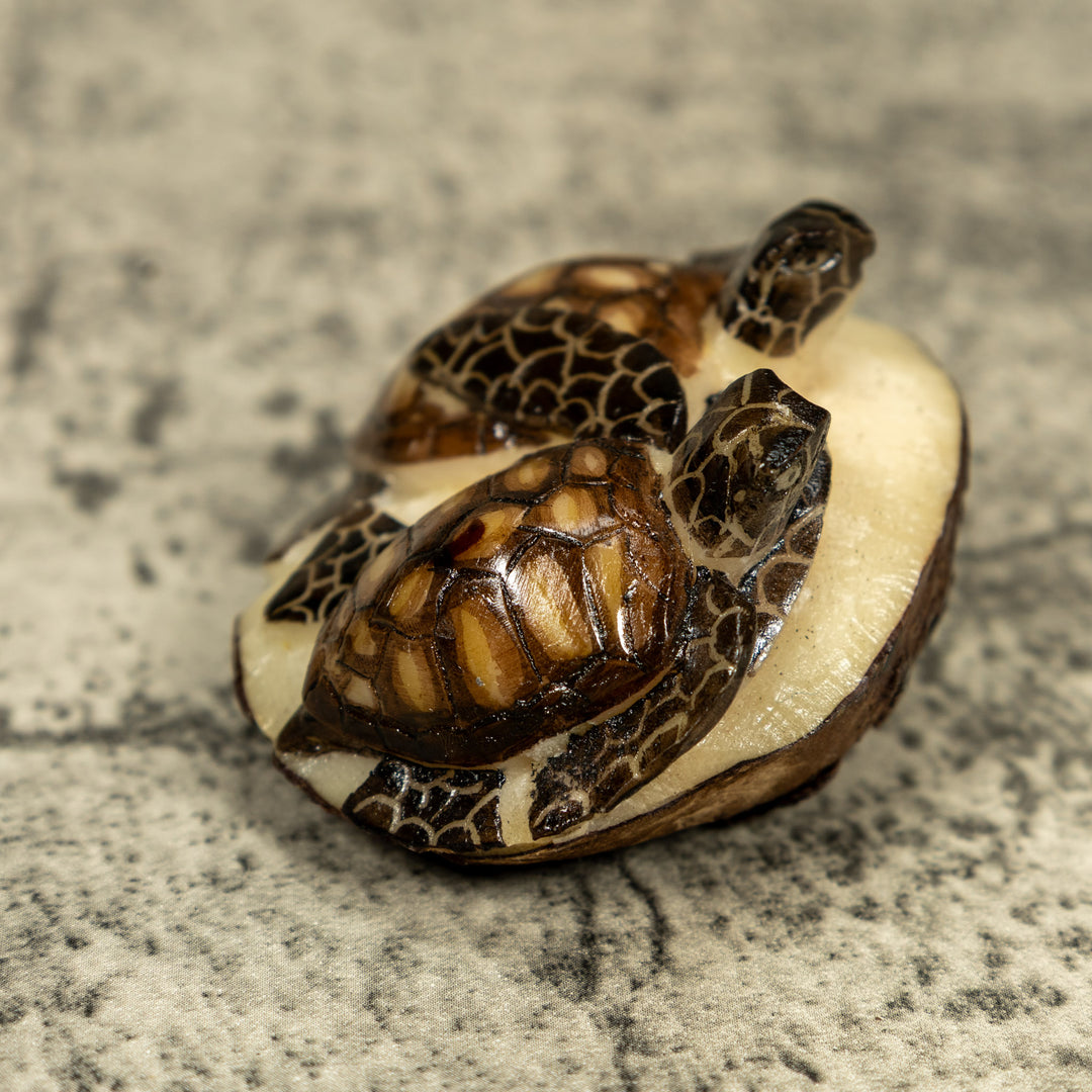 Double (2) Sea Turtle Tagua Carving