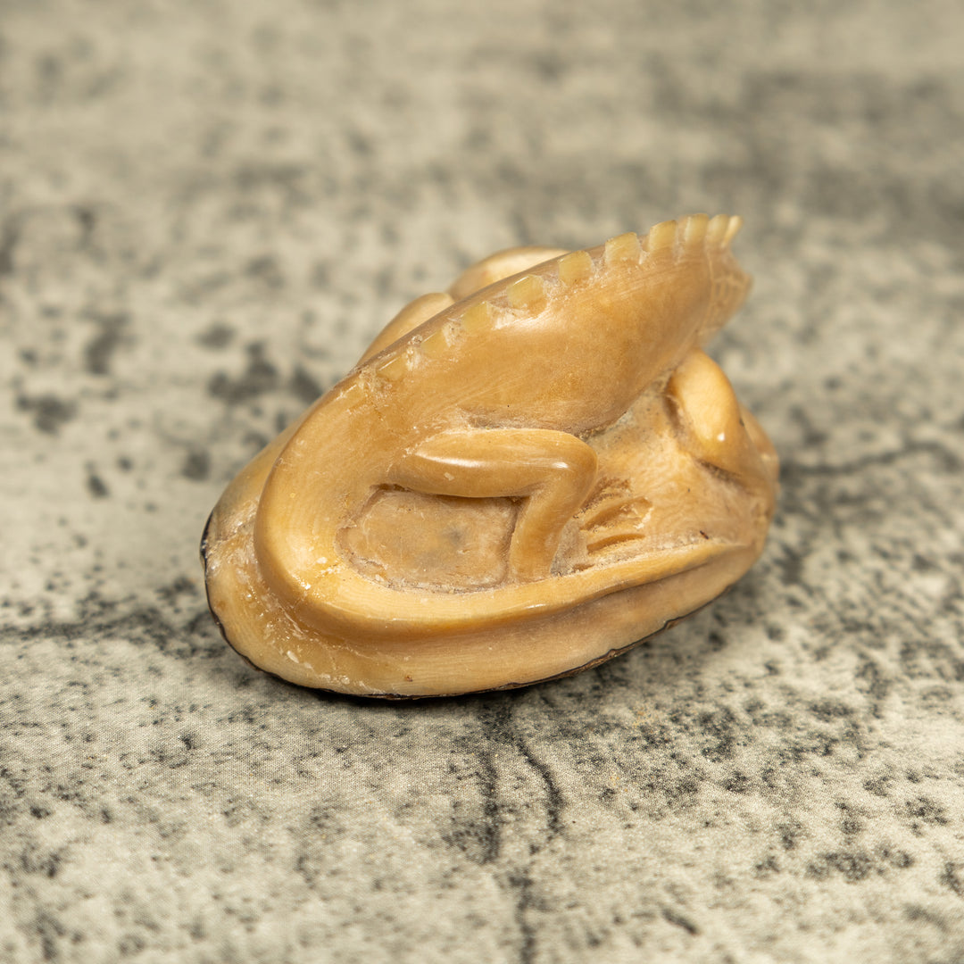 Natural White Iguana Lizard Tagua Carving
