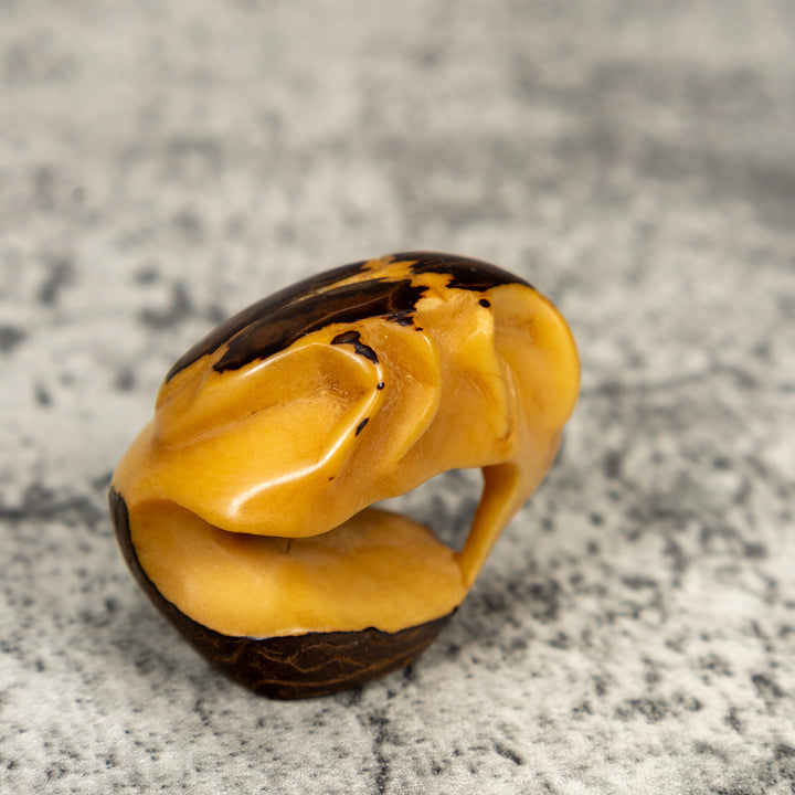 Natural White Insect Bug Tagua Carving