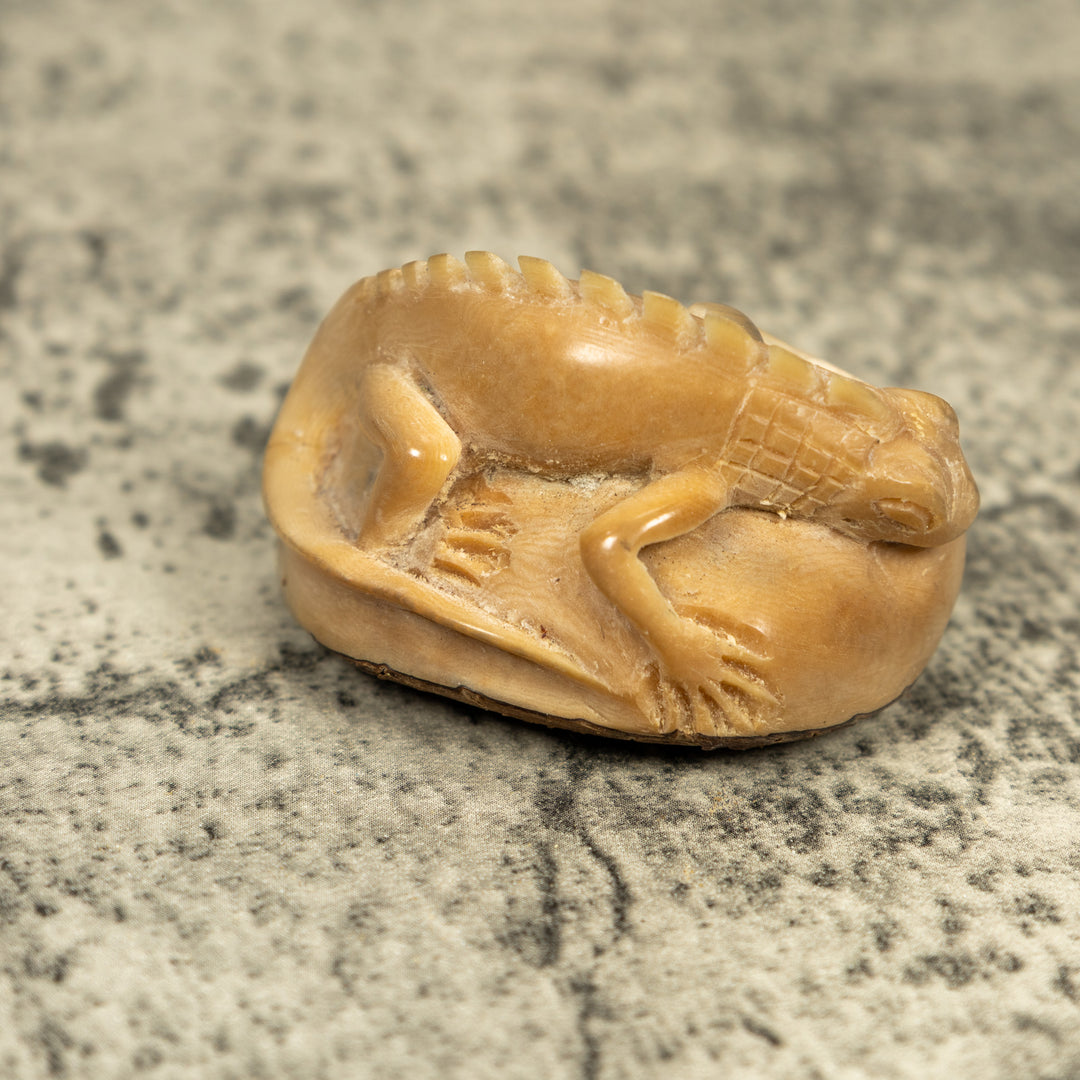 Natural White Iguana Lizard Tagua Carving