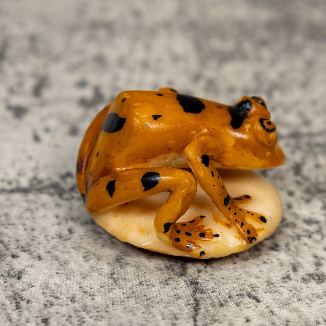 Vintage Gold And Black Frog Tagua Carving