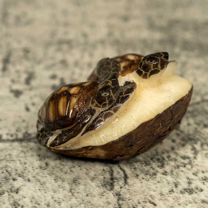 Double (2) Sea Turtle Tagua Carving