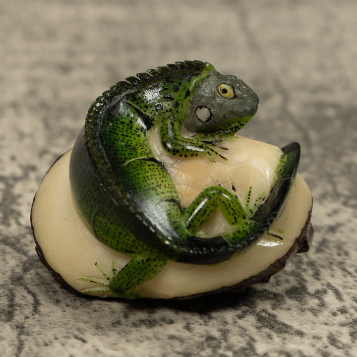 Iguana Lizard Reptile Tagua Carving