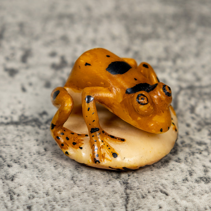 Vintage Gold And Black Frog Tagua Carving