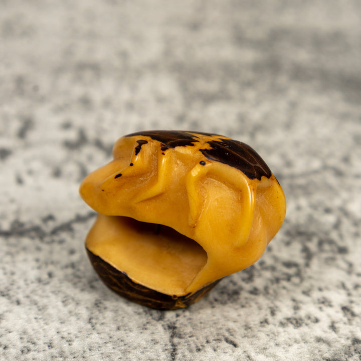 Natural White Insect Bug Tagua Carving