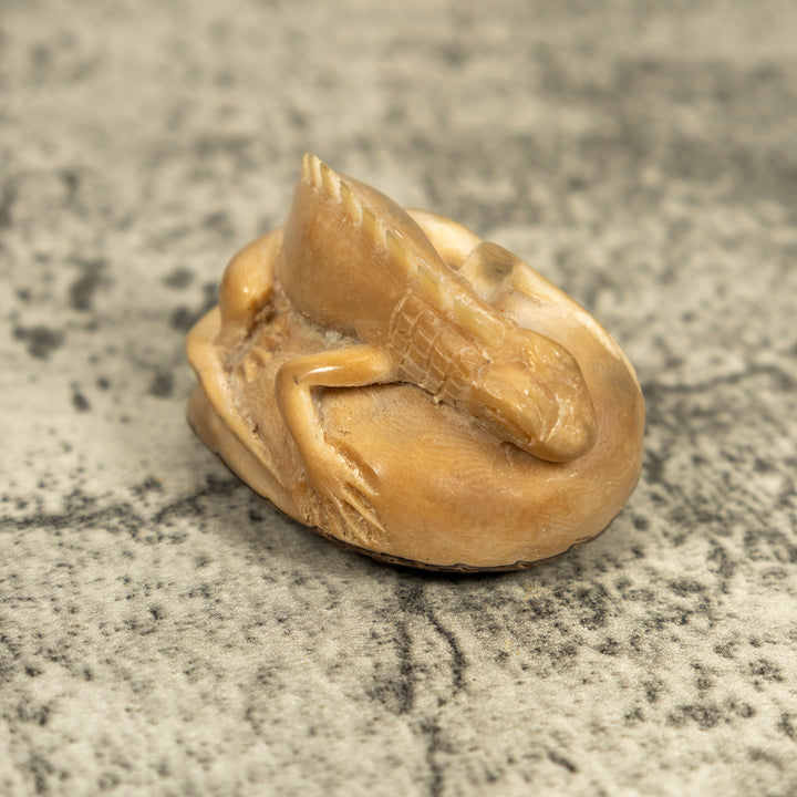 Natural White Iguana Lizard Tagua Carving