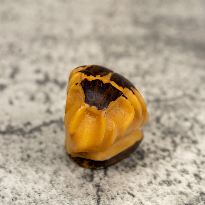 Natural White Insect Bug Tagua Carving