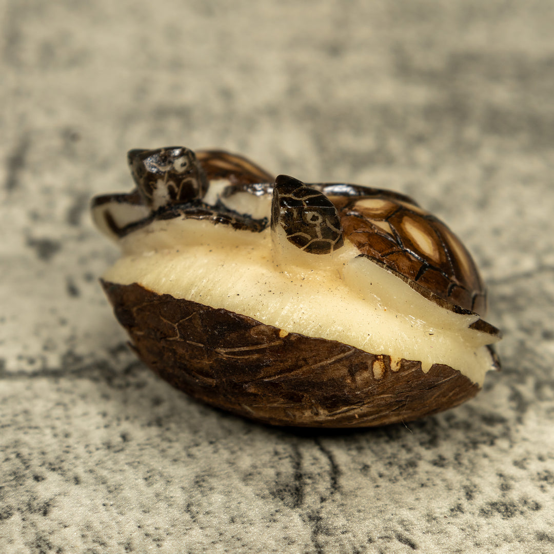 Double (2) Sea Turtle Tagua Carving