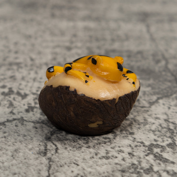 Gold and Black Frog Tagua Carving