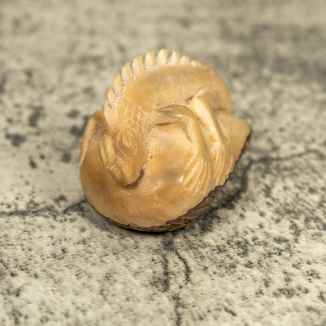 Natural White Iguana Lizard Tagua Carving