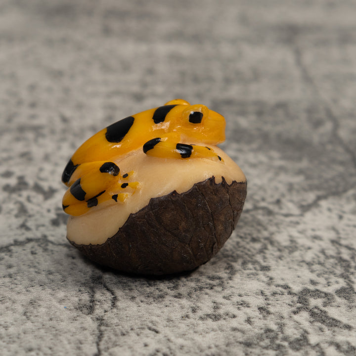 Gold and Black Frog Tagua Carving