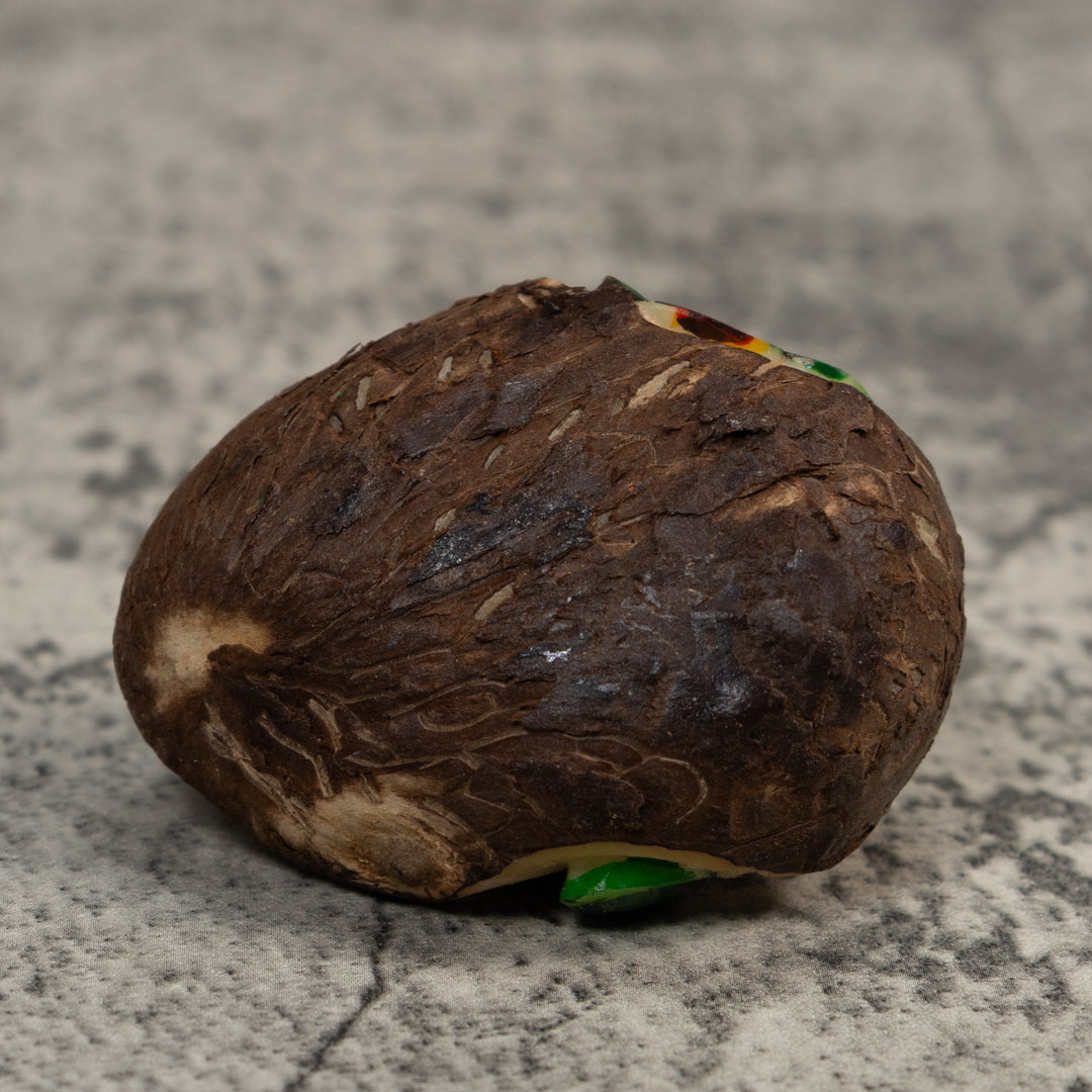 Green And White Poison Dart Frog Tagua Carving