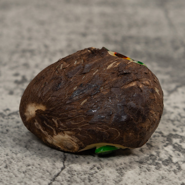 Green And White Poison Dart Frog Tagua Carving