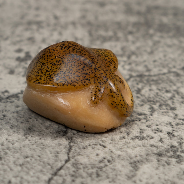 Speckled Ocean Stingray Tagua Carving