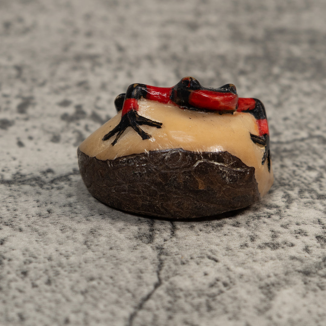 Red And Black Poison Dart Frog Tagua Carving